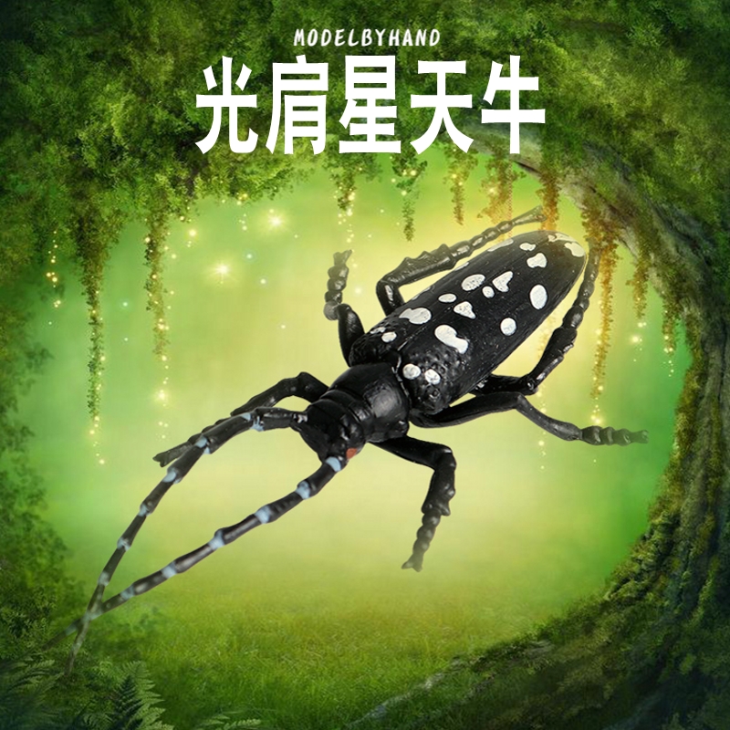 林畅模玩光肩星天牛模型仿真昆虫
