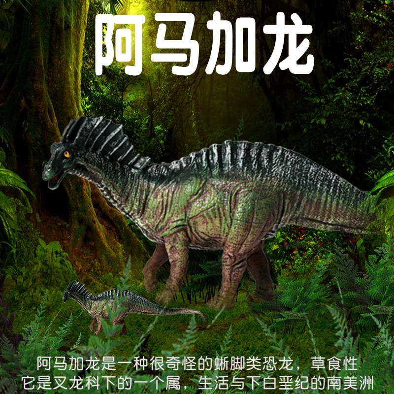 阿马加龙生活在白垩纪早期的南美洲