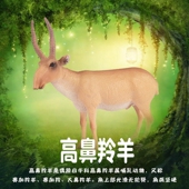 林畅模玩儿童仿真动物玩具高鼻羚羊模型实心赛加羚大鼻羚羊认知