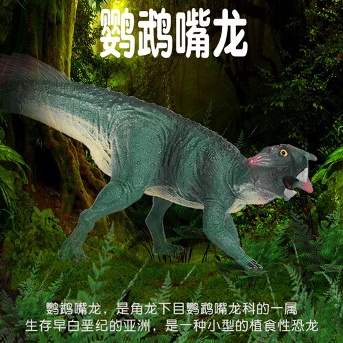 林畅模玩鹦鹉嘴龙模型仿真恐龙