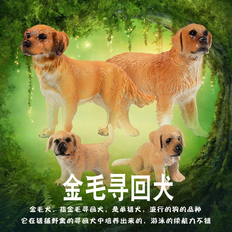 林畅模玩儿童小狗玩具金毛寻回犬模型单猎犬导盲犬宠物犬仿真动物