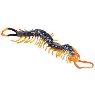 林畅模玩儿童动物玩具模型套装加拉帕格斯巨人蜈蚣仿真昆虫模型