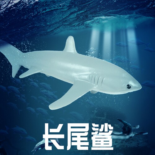 林畅模玩长尾鲨模型仿真海洋动物