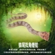 林畅模玩儿童软胶蛇玩具蛛尾拟角蝰蛇模型仿真爬行动物假蛇大蟒蛇