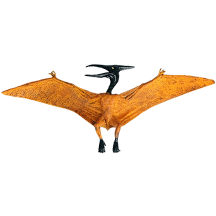 林畅模玩侏罗纪翼龙翼手龙飞龙儿童恐龙模型玩具套装仿真动物世界
