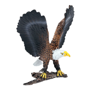 林畅模玩儿童仿真动物鸟类玩具白头海雕老鹰苍鹰巨鹰飞禽猛禽模型