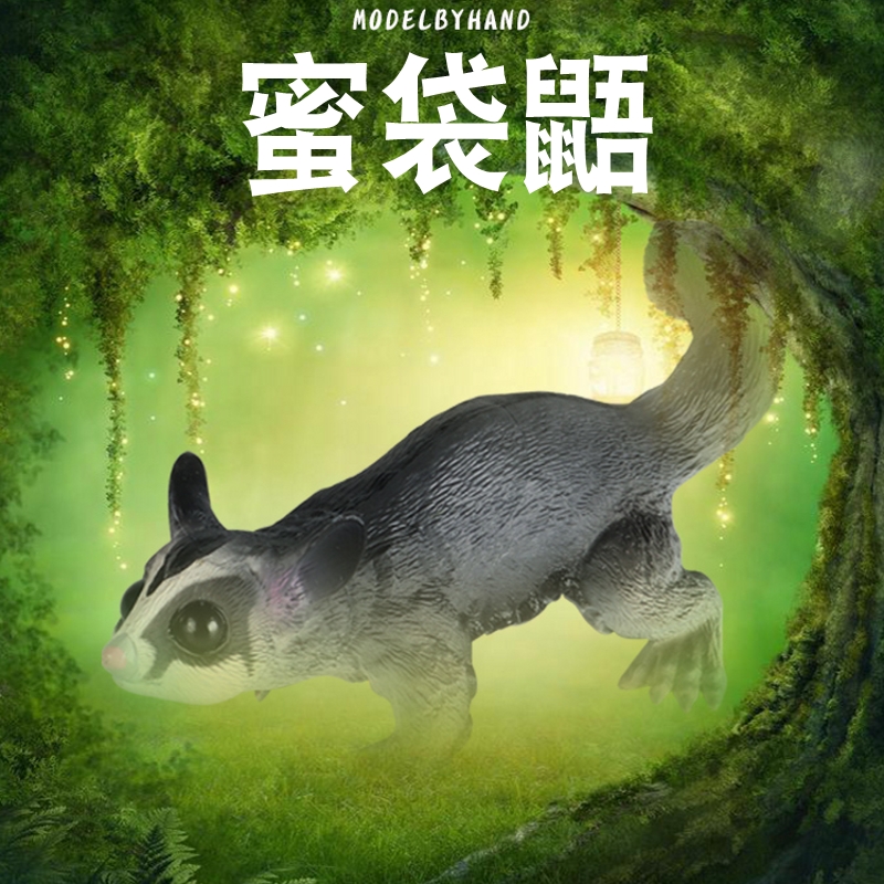 蜜袋鼯是一种有袋动物