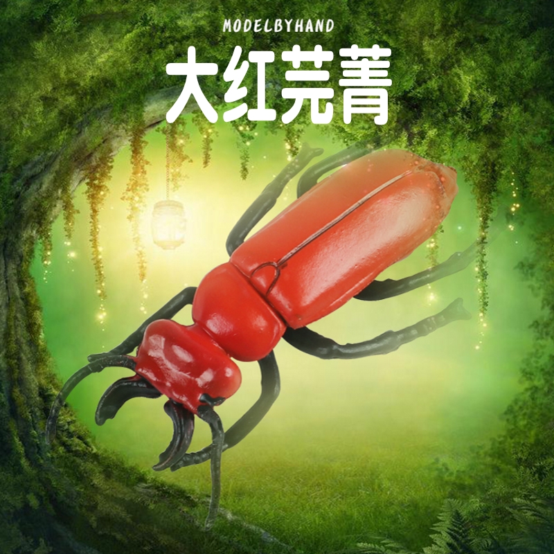 林畅模玩大红芫菁模型仿真昆虫