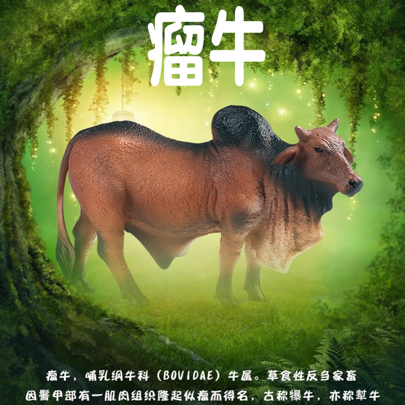 林畅模玩瘤牛塑胶实心仿真动物