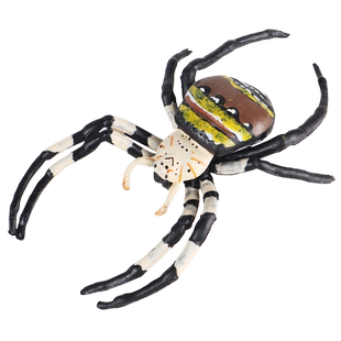 林畅模玩昆虫玩具悦目金蛛模型仿真蜘蛛套装圆蛛科动物儿童认知