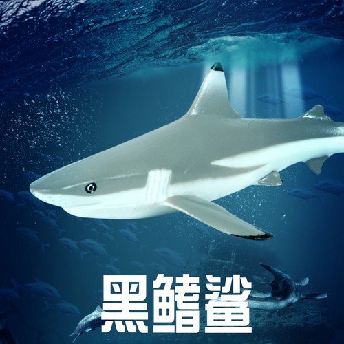 林畅模玩黑鳍鲨模型仿真海洋动物