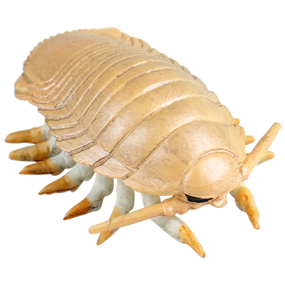 林畅模玩大王具足虫模型仿真动物