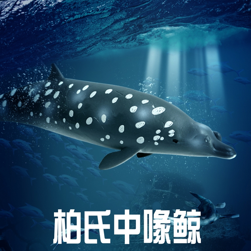 林畅模玩儿童海洋鲸鱼玩具柏氏中喙鲸模型深海古生物仿真动物套装