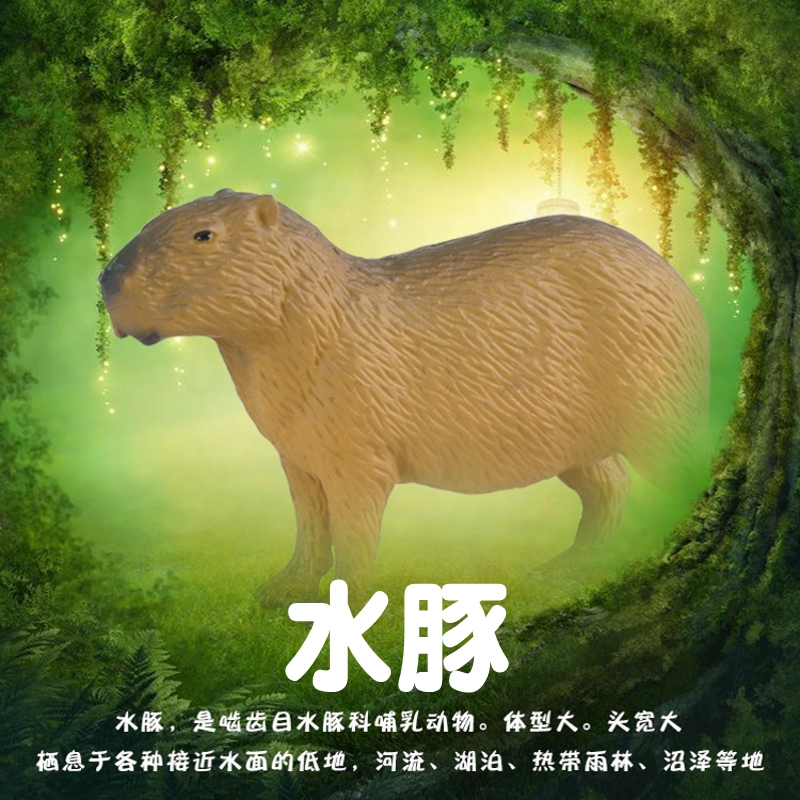 林畅模玩水豚模型仿真动物玩具