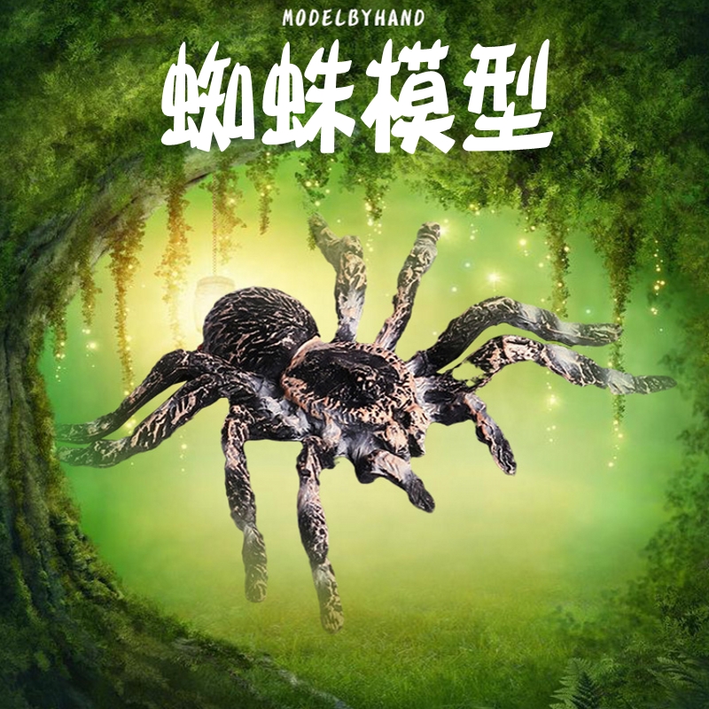林畅模玩巴西白漆头蜘蛛模型仿真
