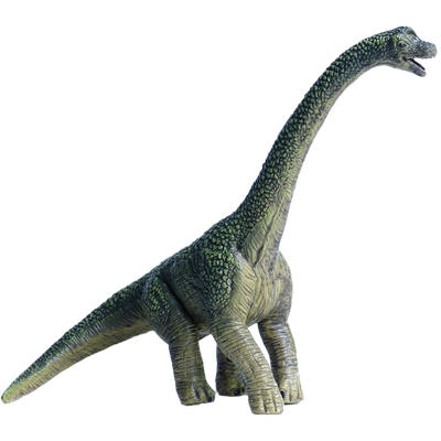 林畅模玩马门溪龙模型仿真恐龙