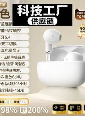 深圳瑞禾科技蓝牙耳机新款无线耳机降噪游戏迷你高音质长续航新款