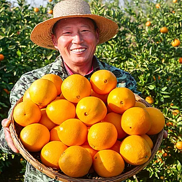 帮农日记！正宗江西赣南脐橙净重4.5斤