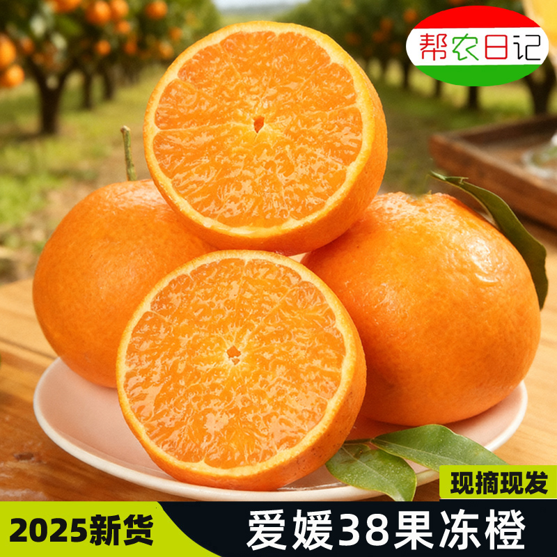 【彩箱礼盒装】四川爱媛果冻橙精品彩箱净重4.5斤包邮