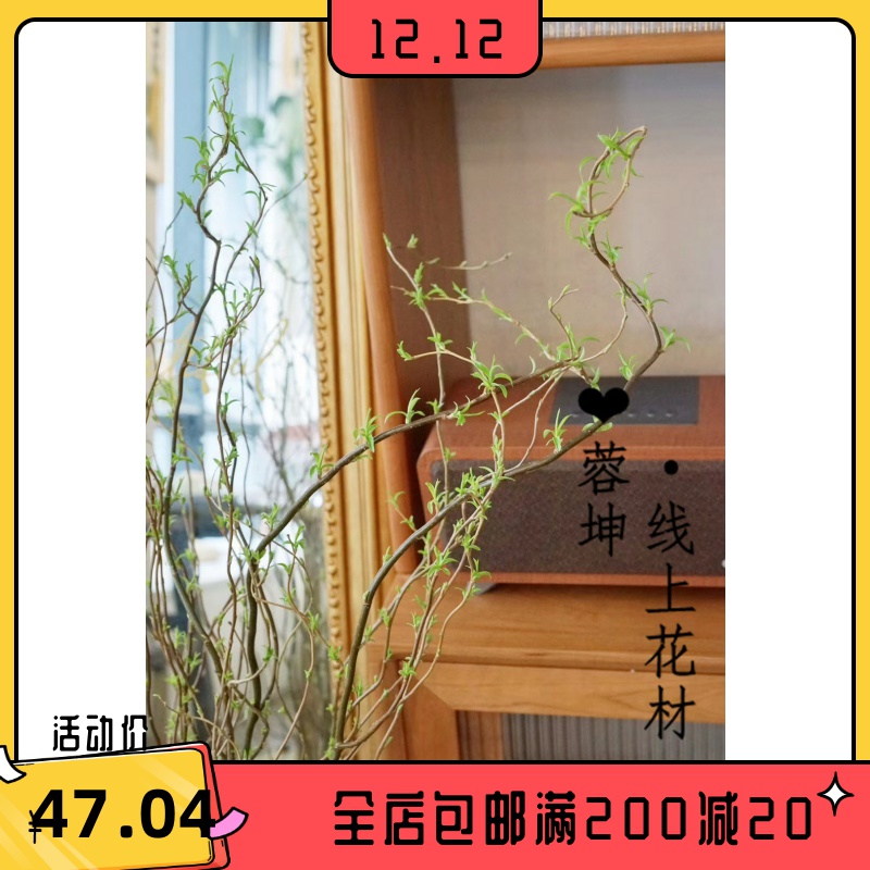 树枝云龙柳多少钱 树枝云龙柳优惠券免费领取 有条鱼 树枝云龙柳多少钱 树枝云龙柳优惠券免费领取 有条鱼