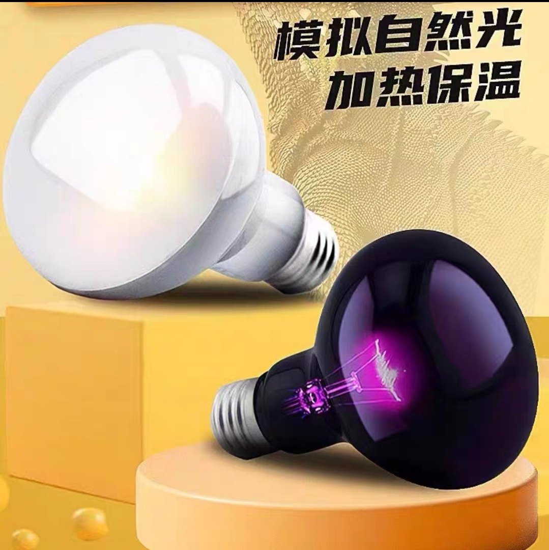 乌龟爬宠晒背灯uva取暖uvb加热保温太阳灯龟灯泡宠物乌龟恒温灯架,宠物/宠物食品及用品,照明器材,淘宝优惠券,粉丝福利购,淘宝优惠卷