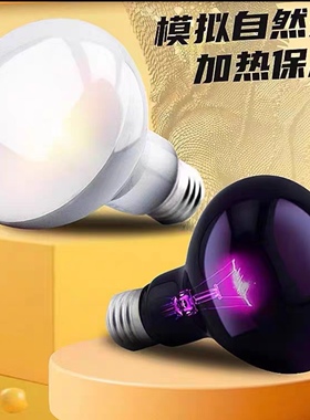 乌龟爬宠晒背灯uva取暖uvb加热保温太阳灯龟灯泡宠物乌龟恒温灯架