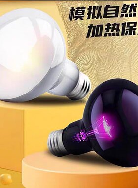 乌龟爬宠晒背灯uva取暖uvb加热保温太阳灯龟灯泡宠物乌龟恒温灯架