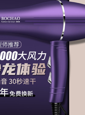 德国发廊电吹风机家用负离子护发