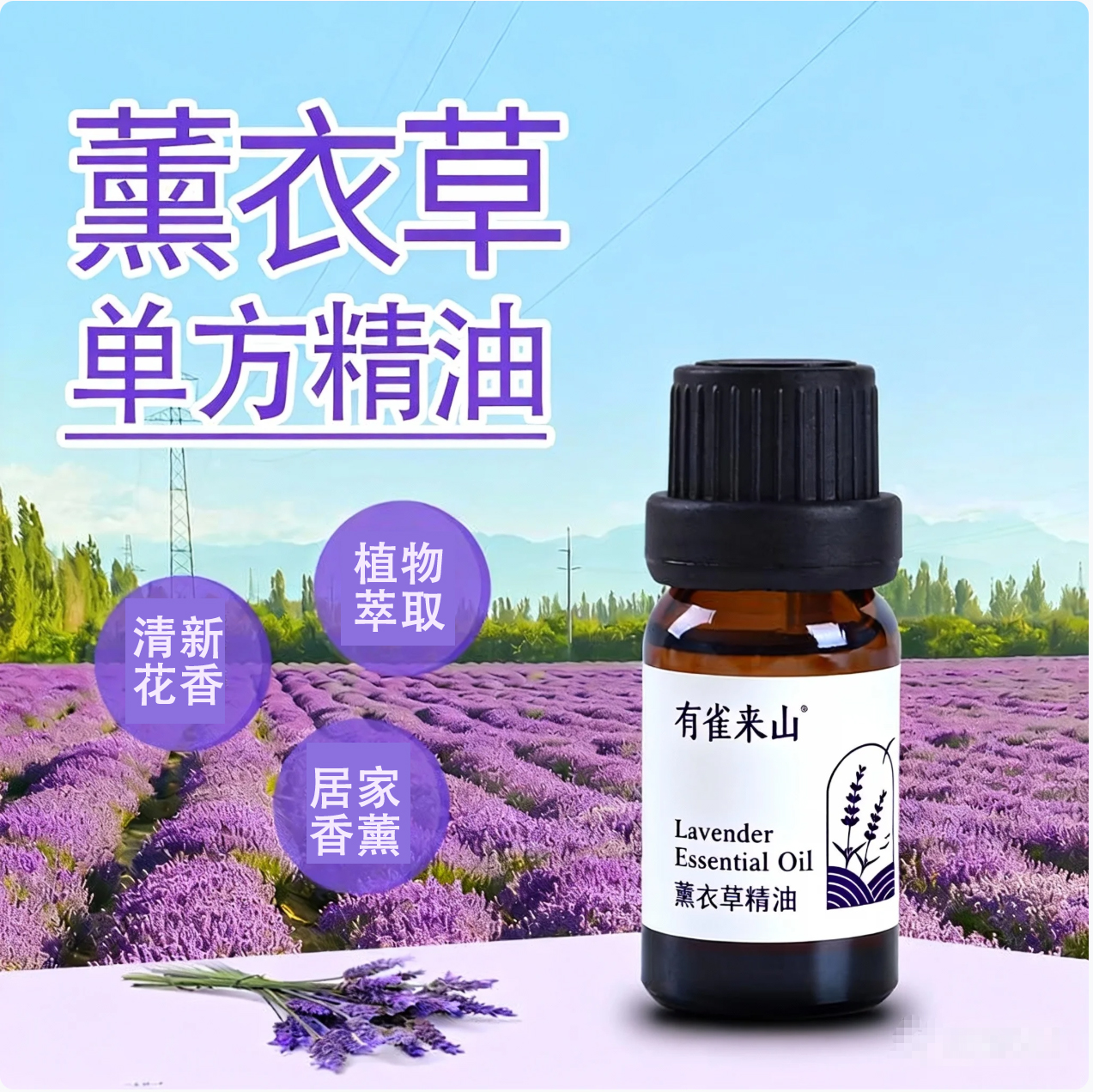 单方薰衣草精油 10ml 植物萃取 清新花香 自有薰衣草农场