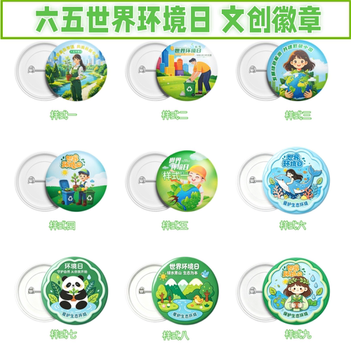 企业公司单位6.5世界环境日保护环境美丽中国活动徽章胸章针定制