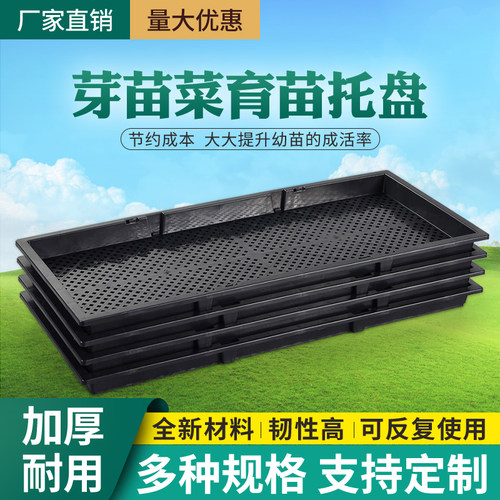 蔬菜种植无土栽培芽苗盘育苗盘