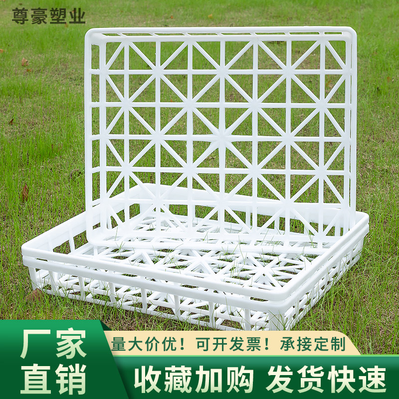 肉友组培筐托盘耐高温图片