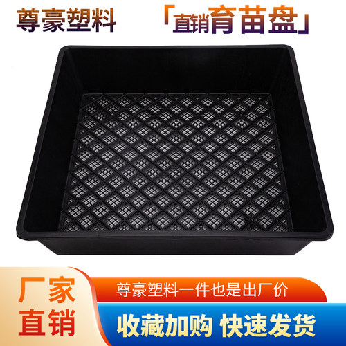 塑料加厚芽菜石斛多肉育苗盘托盘