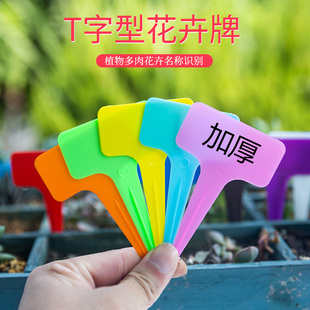 肉友多肉植物标签插牌加厚塑料标记牌扇形防水园艺插地牌可书写