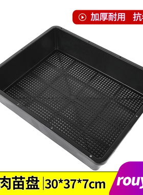 塑料多肉育苗盘小号加厚叶插盆播种器育苗托盘闷养盆黑方托架花盆