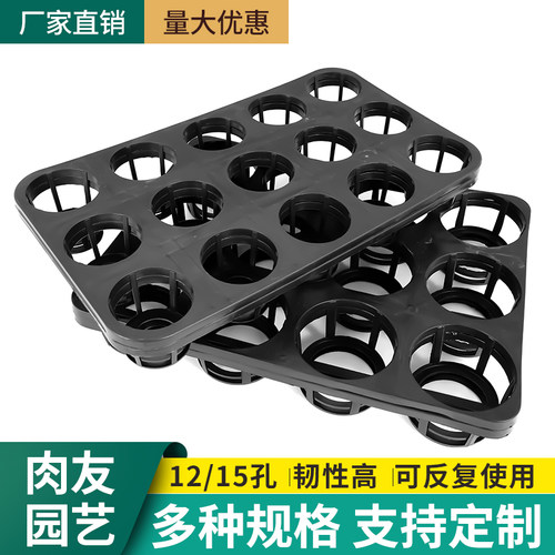 肉友蝴蝶兰托架育苗盘厂家直销