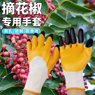 花椒采摘手套防刺防扎手摘花栗子