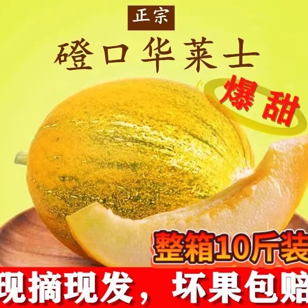 磴口华莱士蜜瓜10斤礼盒装包邮