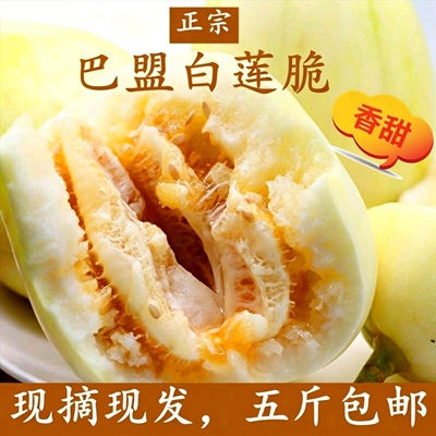 巴盟香瓜大果带箱【5-6斤】4-6颗