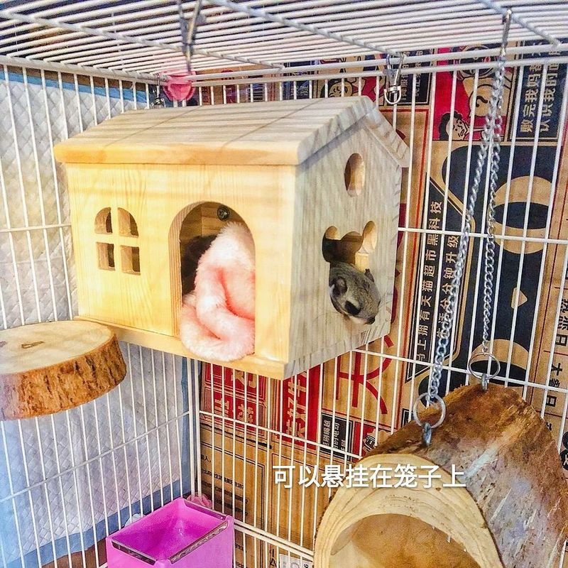 【愉】仓鼠金丝熊兔子木窝豚鼠龙猫荷兰猪松鼠小房子刺猬木屋小宠