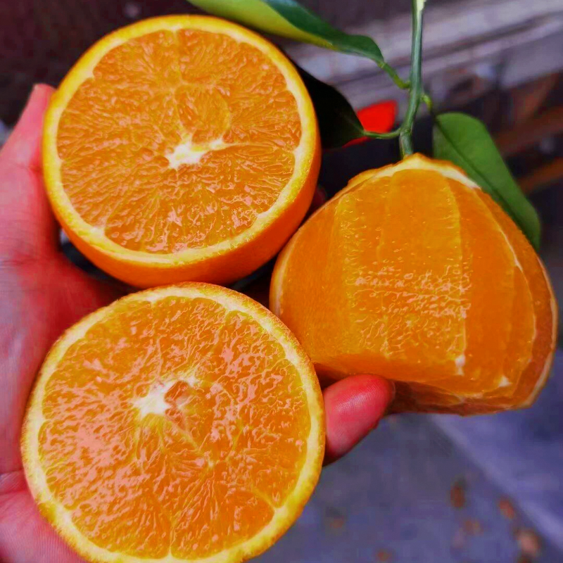 湖北秭归春橙伦晚 弗洛斯特当季橙子 新鲜脐橙现摘孕妇水果整箱,水产肉类/新鲜蔬果/熟食,橙,淘宝优惠券,粉丝福利购,淘宝优惠卷