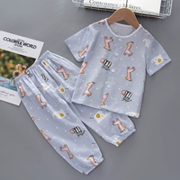 FD306 Короткий свет