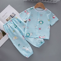 FD36-Blue Lion с коротким рукавом