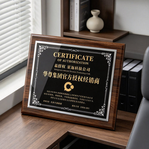 颁奖荣誉证书牌匾奖牌定制金箔匾