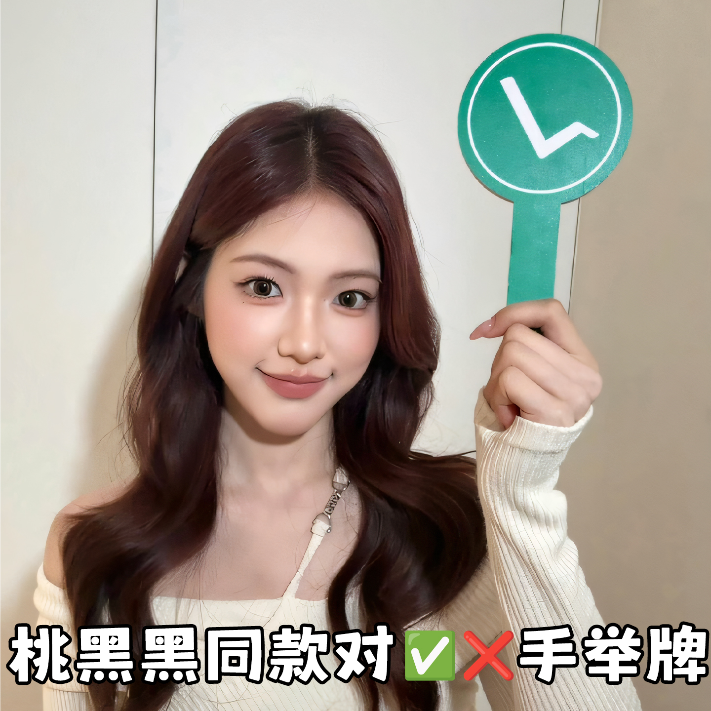 桃黑黑对错手举牌 pvc 板对错打卡举牌课堂答题打分牌活动游戏拍照道具轻便易携带评委亮分牌