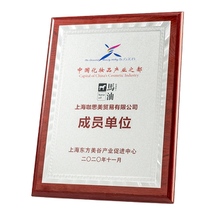奖牌定制金箔牌匾定做荣誉奖牌公司授权牌信用企业会员单位证书牌