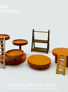 苔藓微景观迷你底座收纳置物架