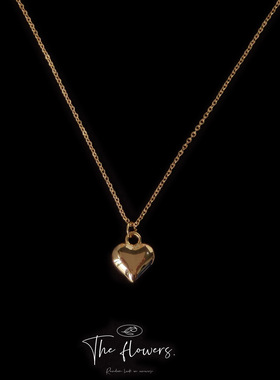 日系coopkoop亮眸品质电镀14k简约ins性冷淡风锁骨链女 项链