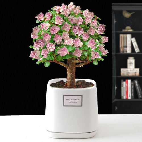 四季花卉棒棒糖型金枝玉叶老桩