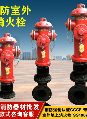 SS100/65-1.6地上式消火栓/地上栓/室外消火栓/室外消防栓扳手150